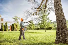 Best Tree Health Inspection  in North Port, FL